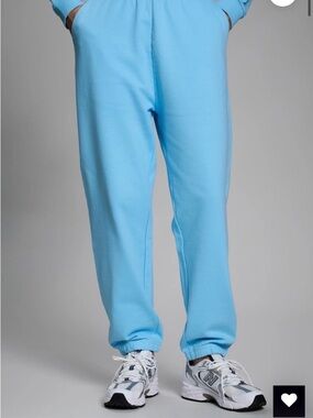 Year of Ours Pale Blue NWT Joggers Size XS